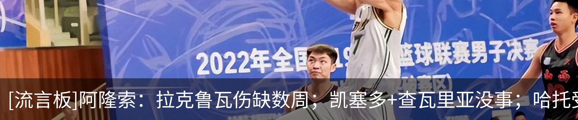 新闻动态